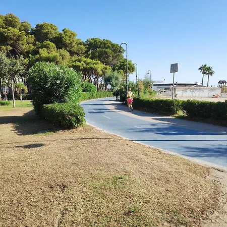 Albasummer - Vicinissimo Al Mare ! *